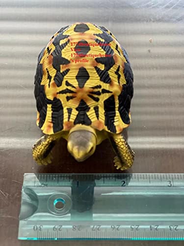 Lifelike Cute Spider Wed Pattern Tortoise Statue Reptile Resin Figure Decor 4"