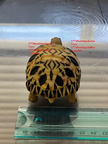 Lifelike Very Cute Radiated Tortoise Statue Reptile Resin Figure Decor 3.25 inch