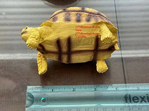 Lifelike Cute Albino Sulcata Tortoise Statue Reptile Resin Figure Decor 3.25"