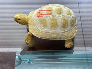 Lifelike Cute Albino Sulcata Tortoise Statue Reptile Resin Figure Decor 4 inch