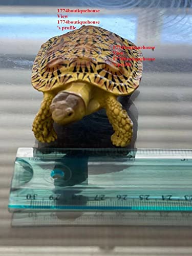 Lifelike Rough-Grained Biscuits Tortoise Statue Reptile Resin Figure Decor 4 inch