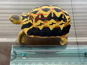 Lifelike Cute Spider Wed Pattern Tortoise Statue Reptile Resin Figure Decor 4"